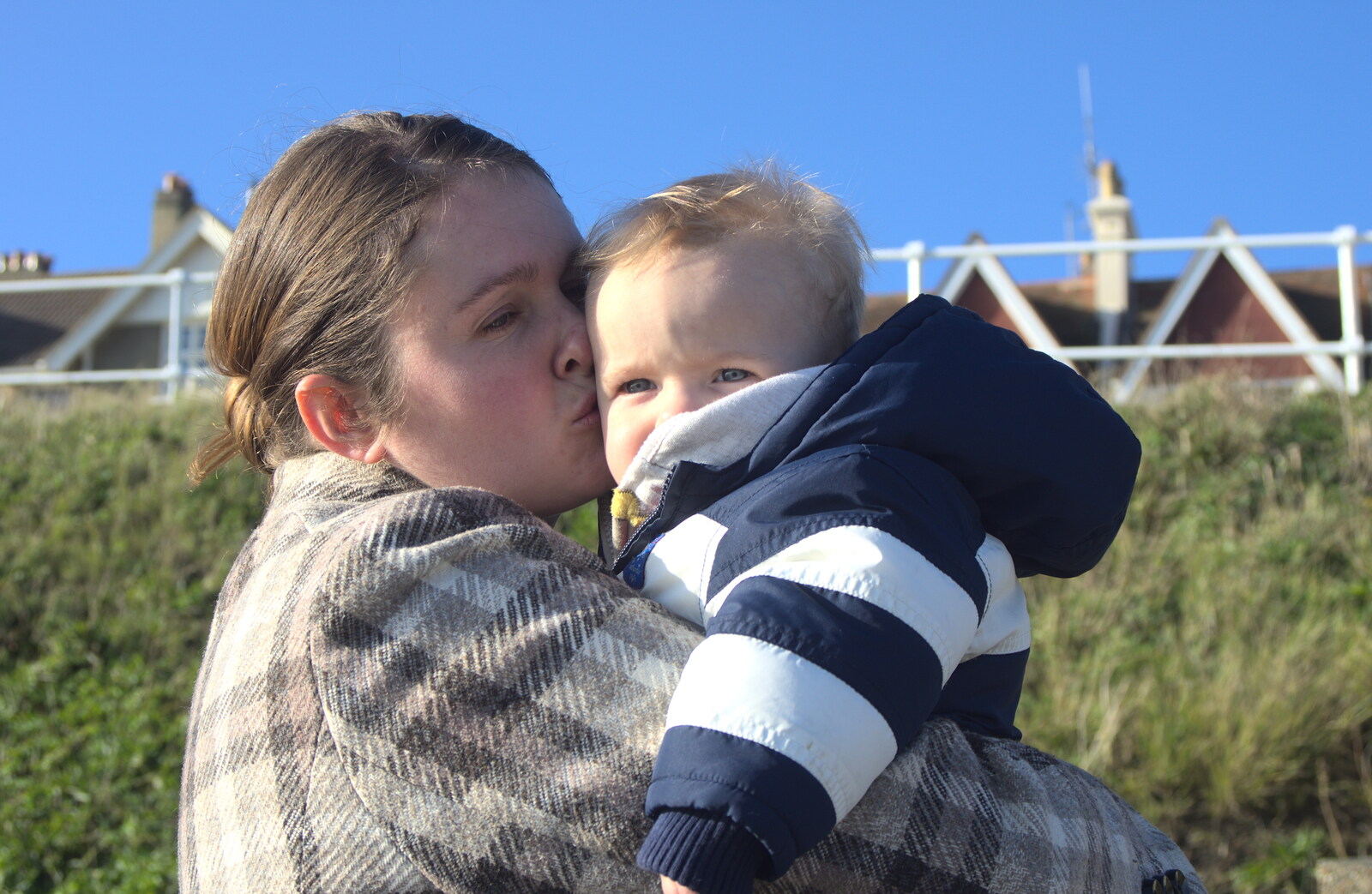Harry gets a kiss from A Busy Day, Southwold and Thornham, Suffolk - 11th November 2012