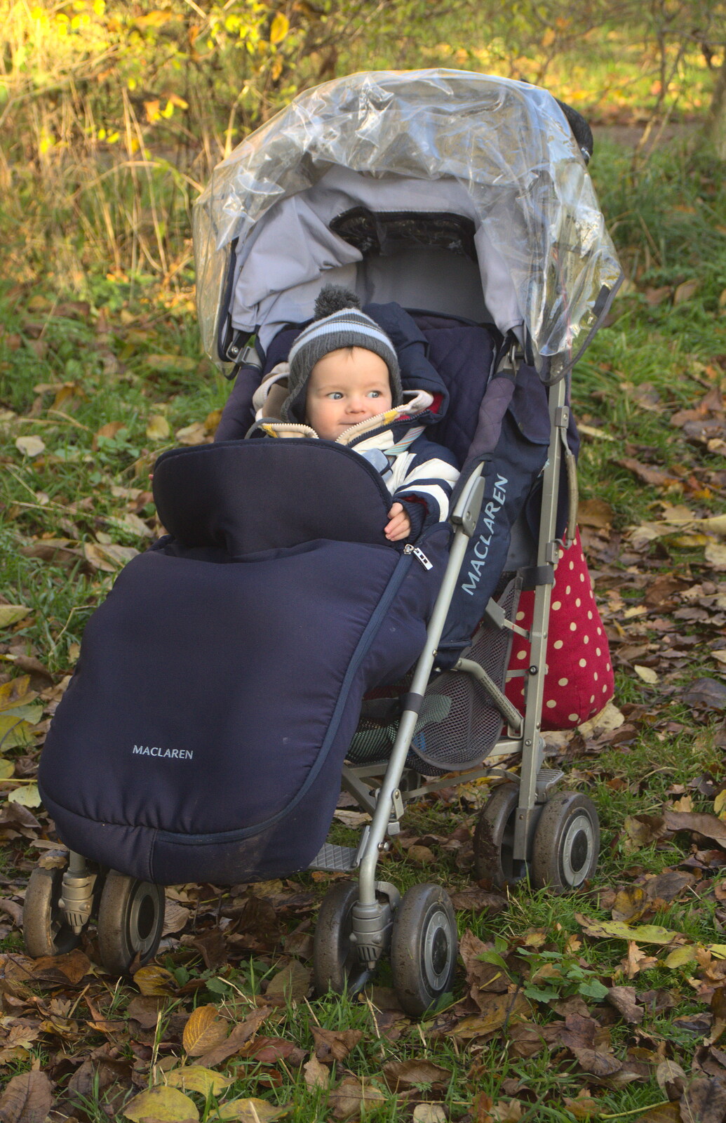 Harry peers out of his buggy from A Busy Day, Southwold and Thornham, Suffolk - 11th November 2012