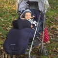 Harry peers out of his buggy, A Busy Day, Southwold and Thornham, Suffolk - 11th November 2012