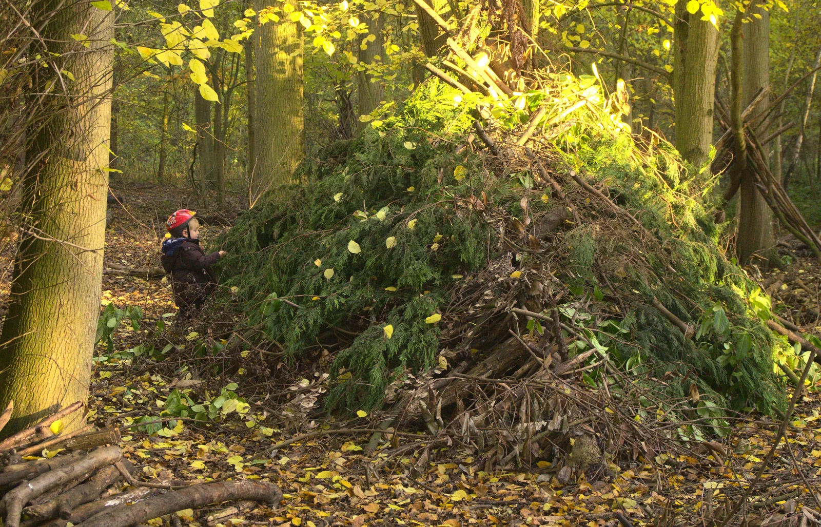 Fred finds a big den, from A Busy Day, Southwold and Thornham, Suffolk - 11th November 2012