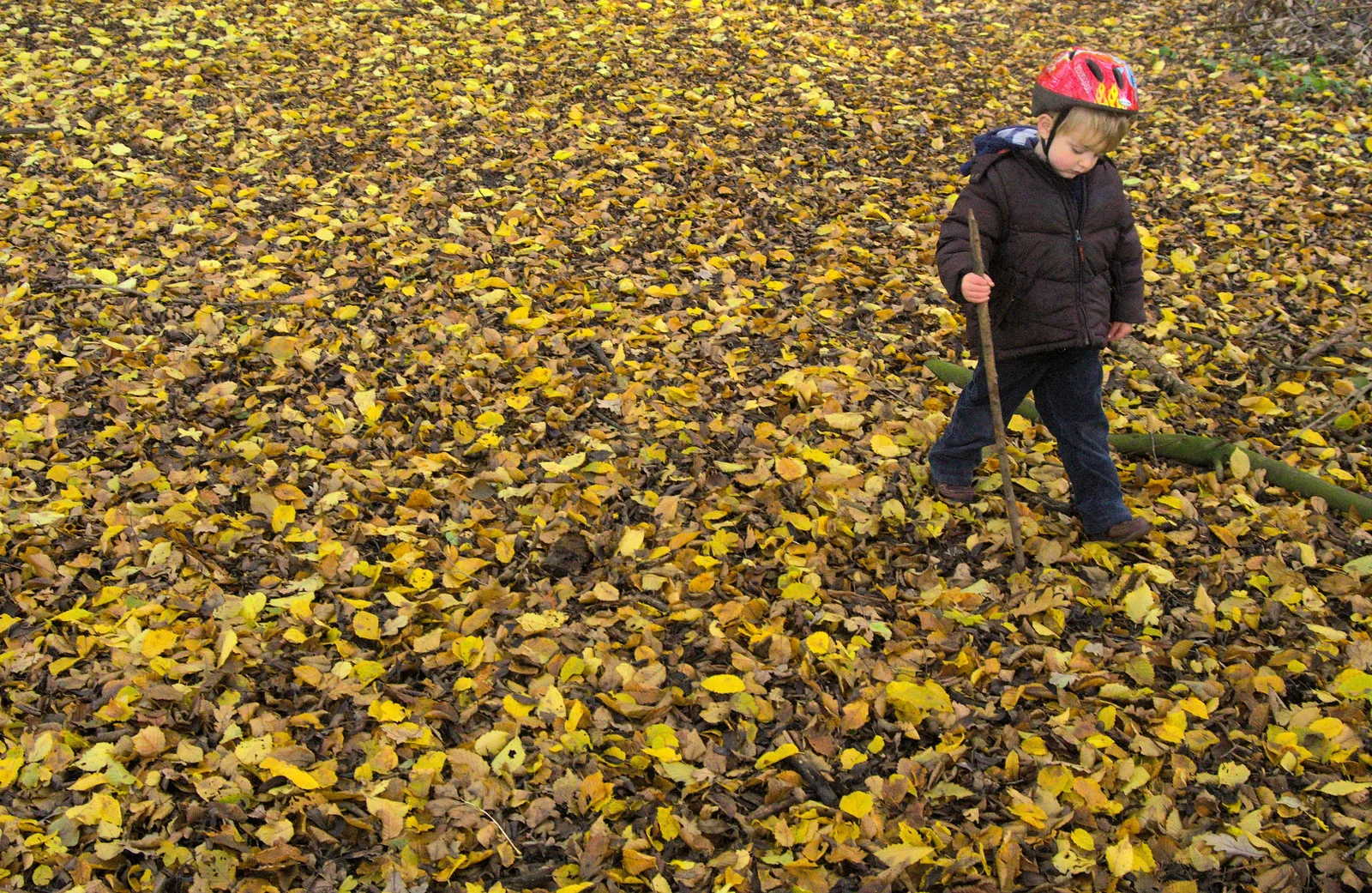 Fred pokes leaves with a stick, from A Busy Day, Southwold and Thornham, Suffolk - 11th November 2012