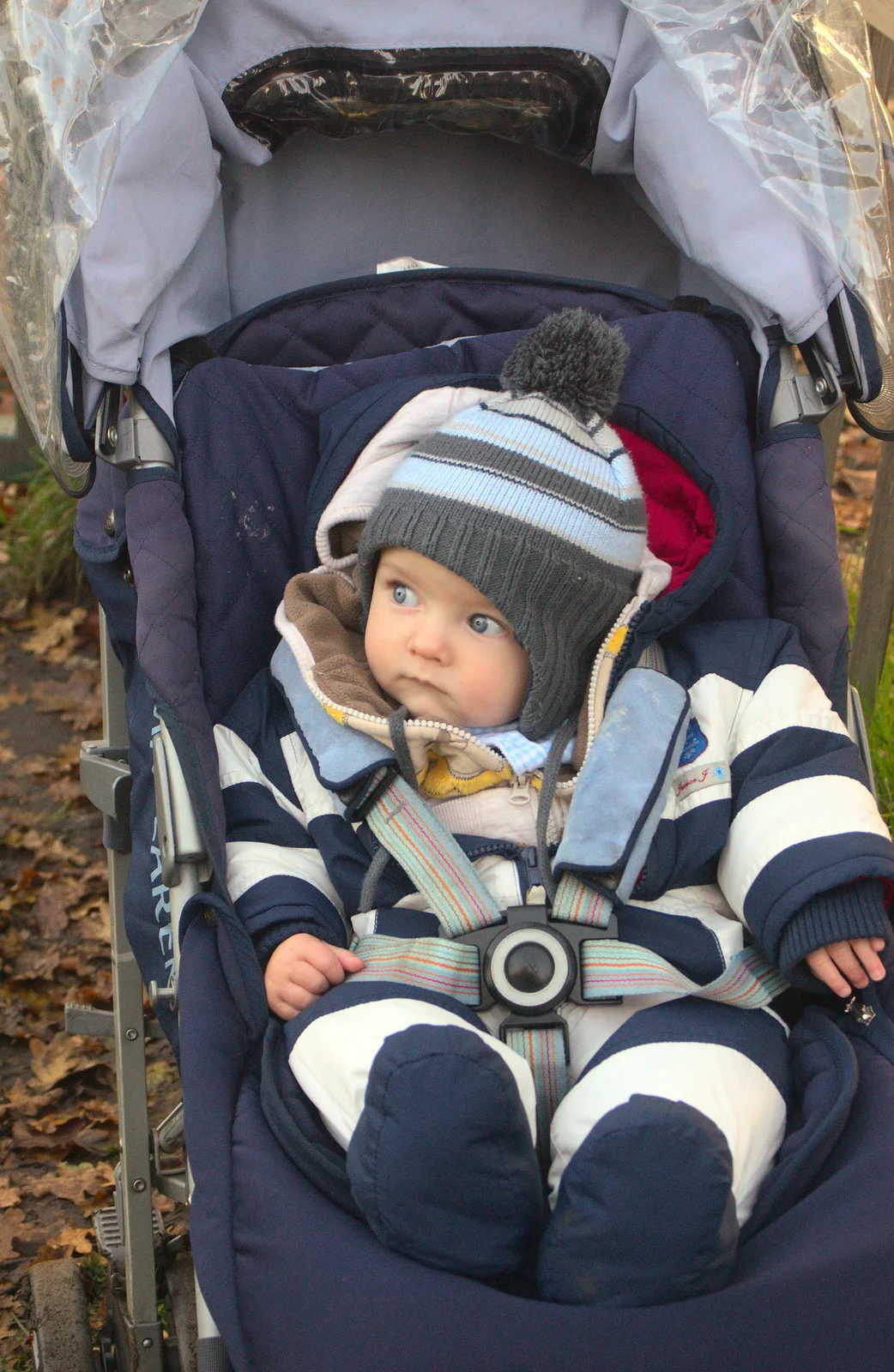 Harry looks out, from A Busy Day, Southwold and Thornham, Suffolk - 11th November 2012