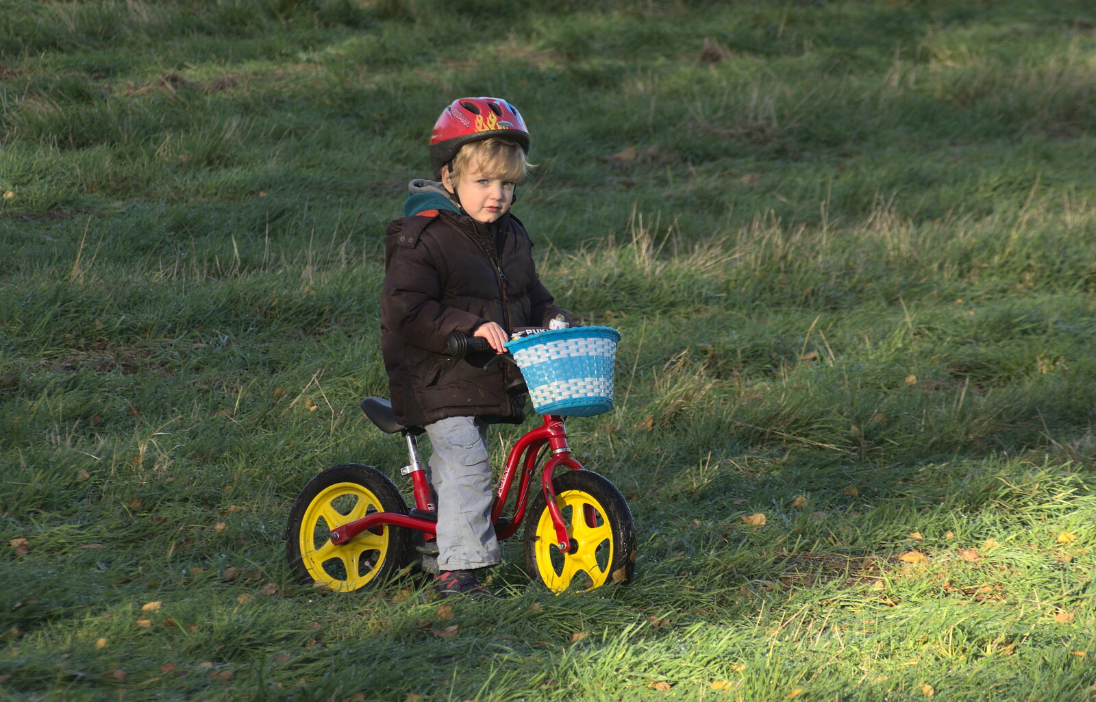 Fred roams about on his balance bike from Sis Comes to Visit, Eye, Suffolk - 18th November 2012