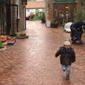 Fred runs around, The Beaconsfield Arms Beer Festival, and a Rainy Day, Diss and Occold - 30th November 2012