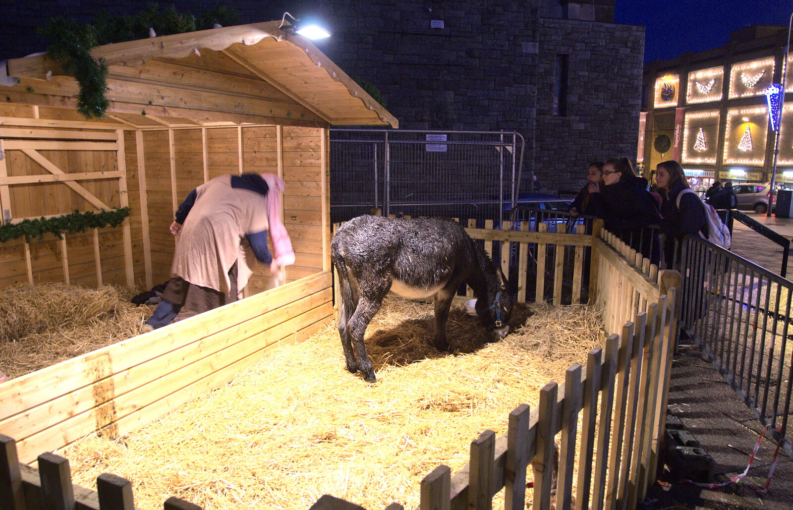 There's a real donkey in the Nativity display from A Night on the Lash, Dublin, Ireland - 14th December 2012