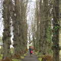 Isobel on the path through the churchyard, A Trip to Spreyton, Devon - 24th December 2012