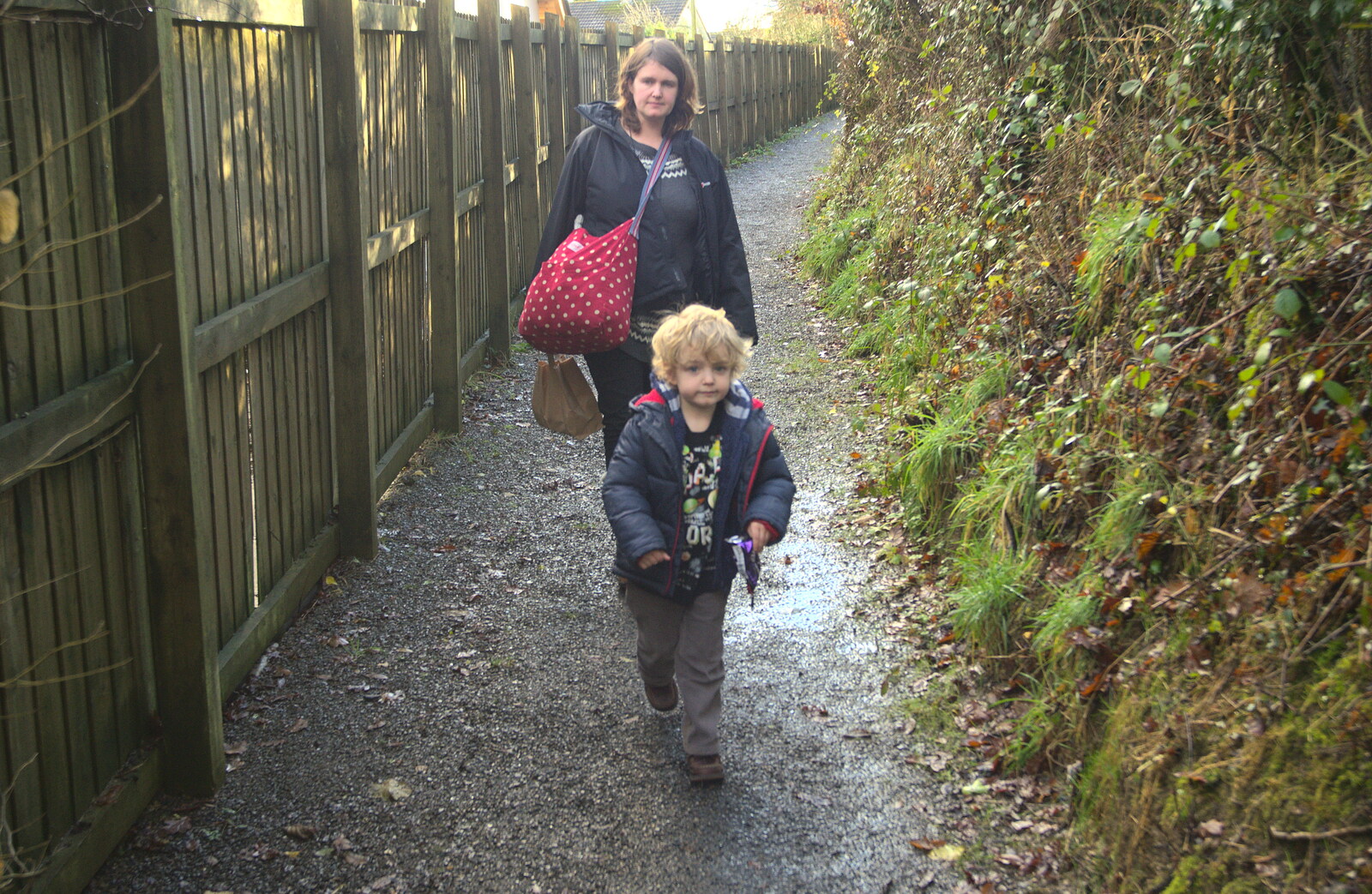 On the path back to Grandma J's from A Trip to Spreyton, Devon - 24th December 2012