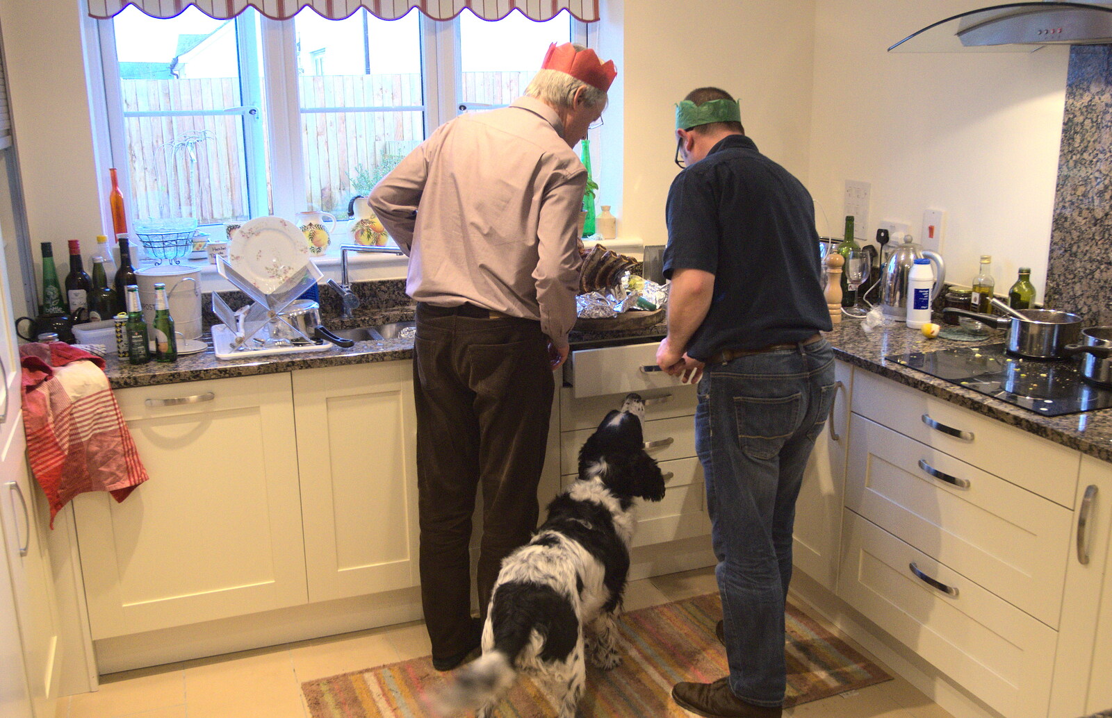 Alfie comes in for a sniff from Christmas Day in Spreyton, Devon - 25th December 2012