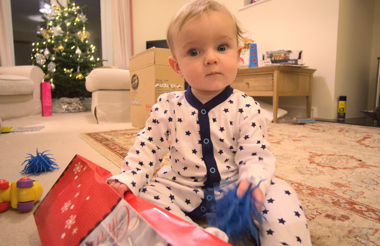 Harry's happy with a bit of wrapping paper from Christmas Day in Spreyton, Devon - 25th December 2012