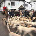 The hounds stream past into the The Square, The Boxing Day Hunt, Chagford, Devon - 26th December 2012