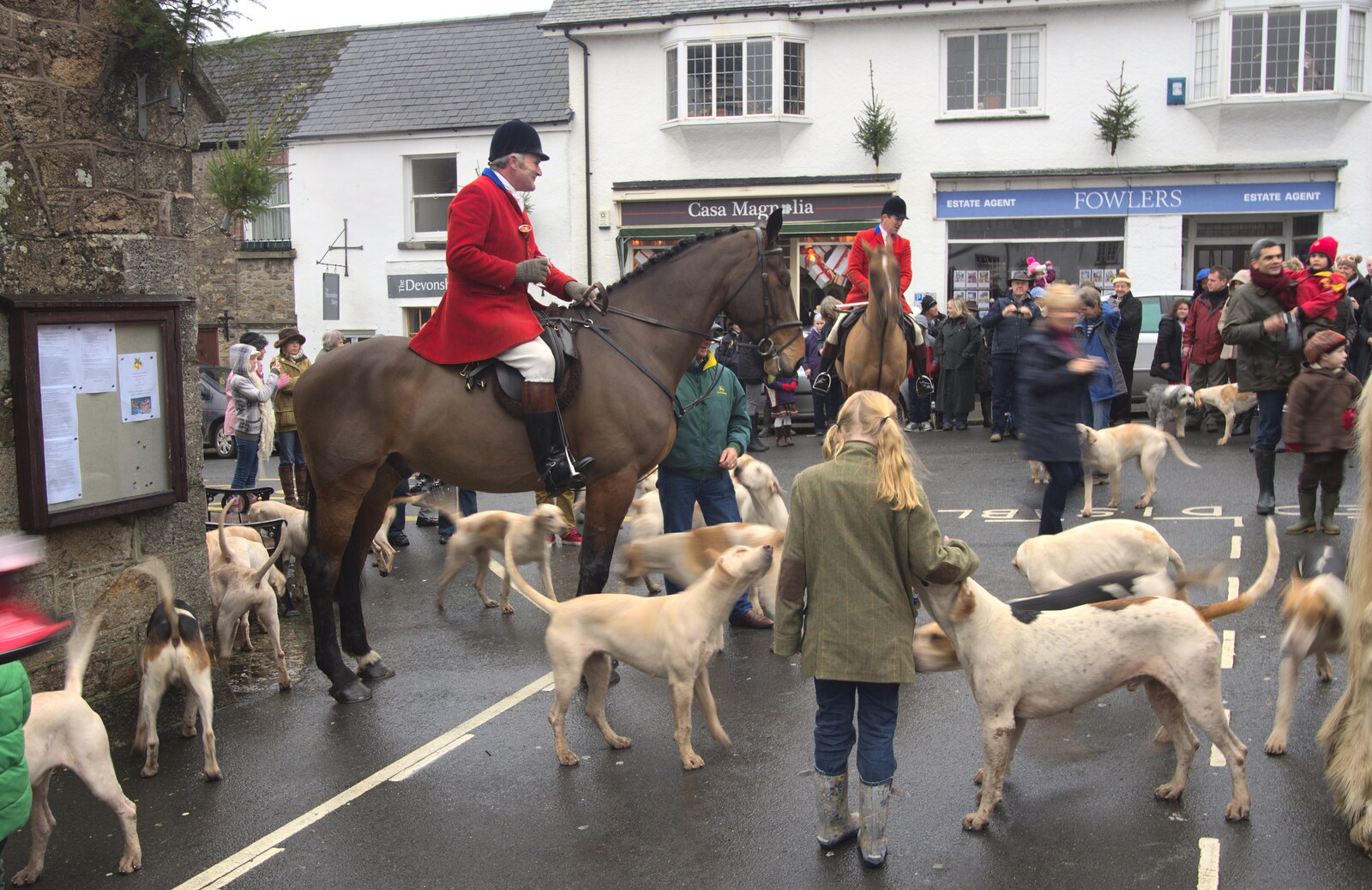 Hounds mill around the Master of the Hunt from The Boxing Day Hunt, Chagford, Devon - 26th December 2012