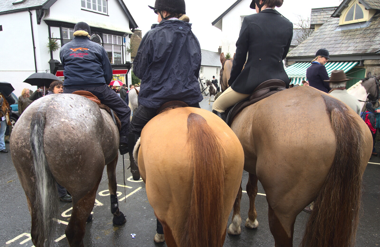 Three horses' arses from The Boxing Day Hunt, Chagford, Devon - 26th December 2012