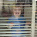 Fred looks out through a Venetian blind, The Boxing Day Hunt, Chagford, Devon - 26th December 2012