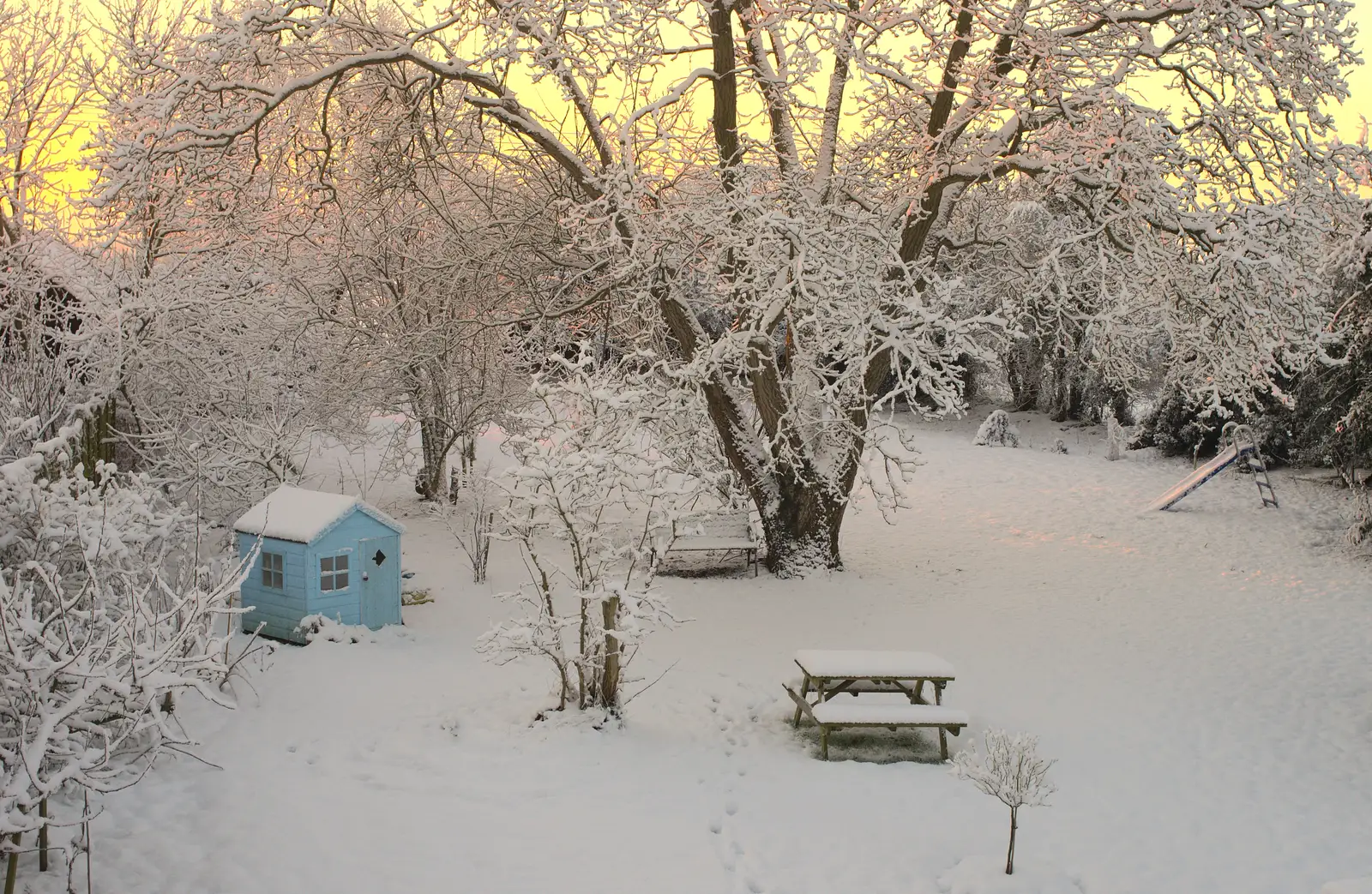 The garden has a decent covering of snow, from A Couple of Snow Days, Brome, Suffolk - 16th January 2013