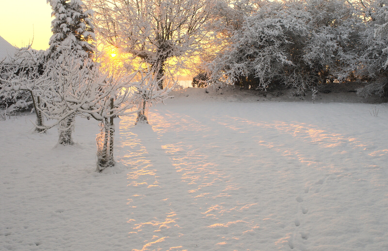 Sunrise on the snow from A Couple of Snow Days, Brome, Suffolk - 16th January 2013