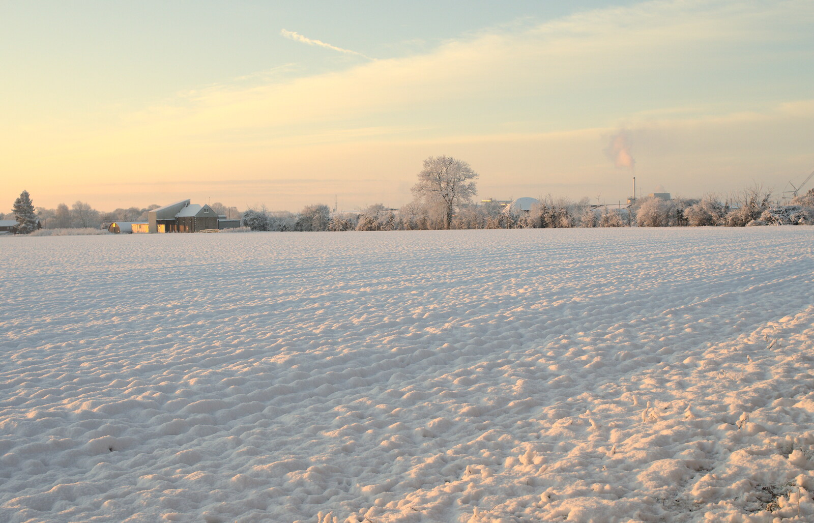 The view over the back field from A Couple of Snow Days, Brome, Suffolk - 16th January 2013