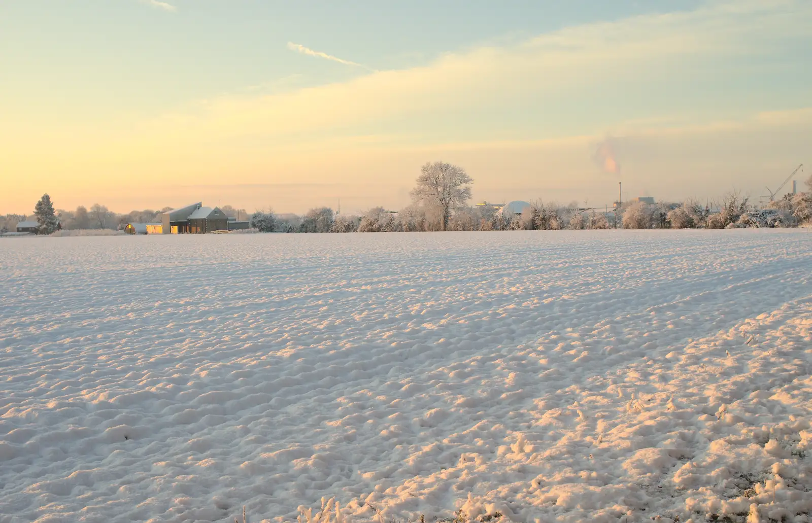 The view over the back field, from A Couple of Snow Days, Brome, Suffolk - 16th January 2013