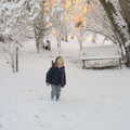 Fred wanders around in the garden, A Couple of Snow Days, Brome, Suffolk - 16th January 2013