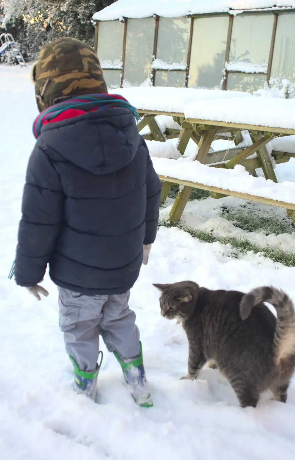 Boris follows Fred around, from A Couple of Snow Days, Brome, Suffolk - 16th January 2013