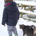 Boris follows Fred around, A Couple of Snow Days, Brome, Suffolk - 16th January 2013