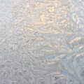 Ice on the greenhouse, A Couple of Snow Days, Brome, Suffolk - 16th January 2013