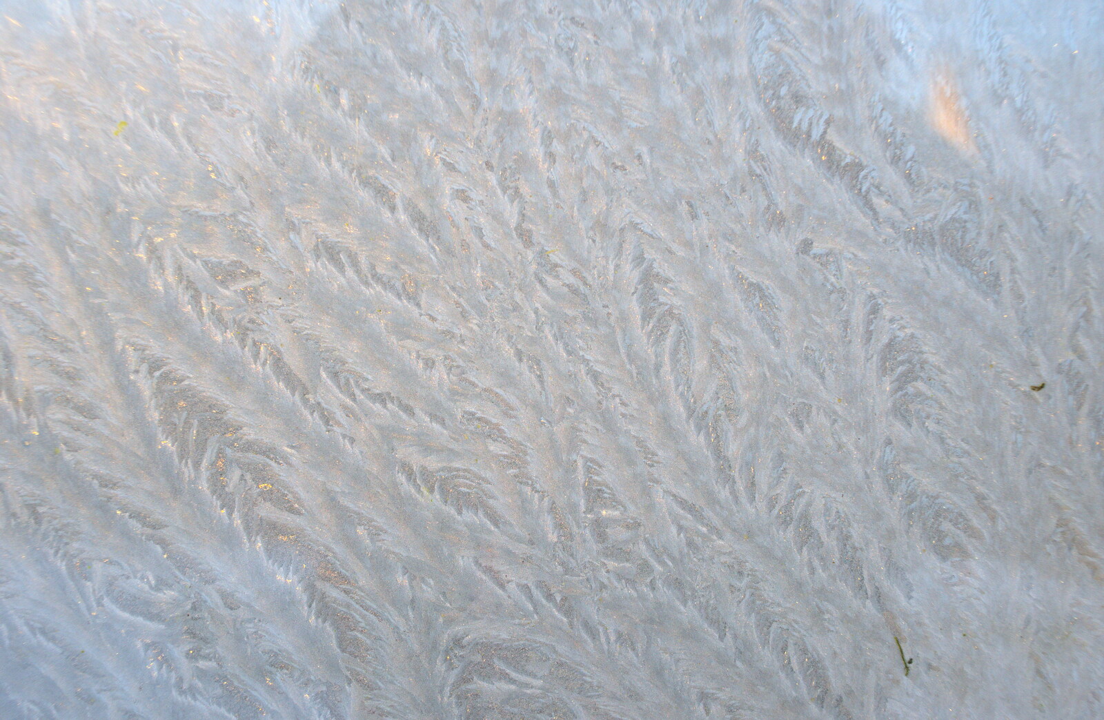 More ice patterns from A Couple of Snow Days, Brome, Suffolk - 16th January 2013