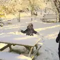 Fred sweeps snow of the table, A Couple of Snow Days, Brome, Suffolk - 16th January 2013