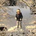 Fred's armed with snowballs, A Couple of Snow Days, Brome, Suffolk - 16th January 2013