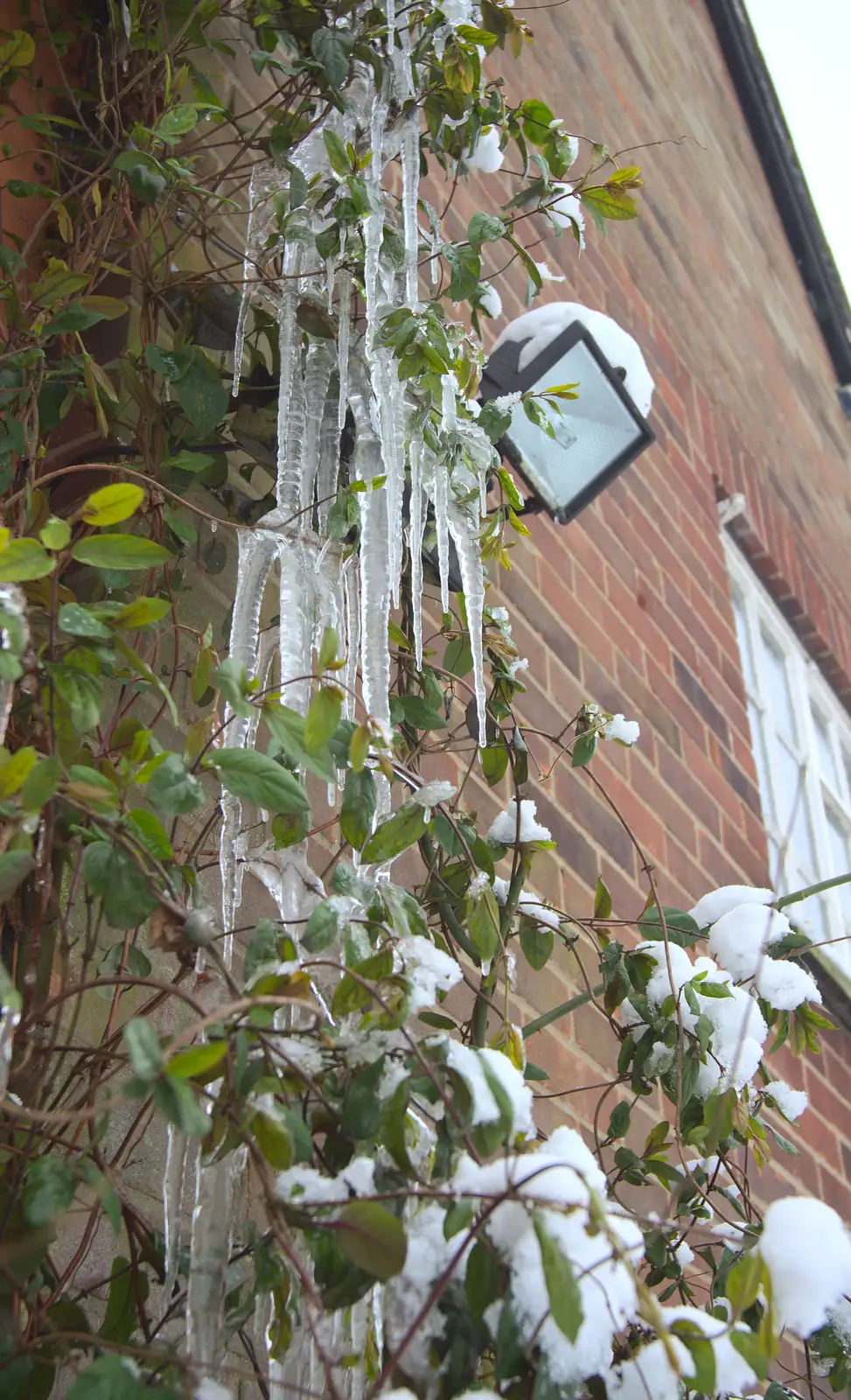 Icicles form from an overflowing water pipe, from More Snow Days and a Wind Turbine is Built, Brome, Suffolk - 19th January 2013