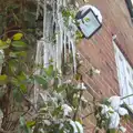 Icicles form from an overflowing water pipe, More Snow Days and a Wind Turbine is Built, Brome, Suffolk - 19th January 2013