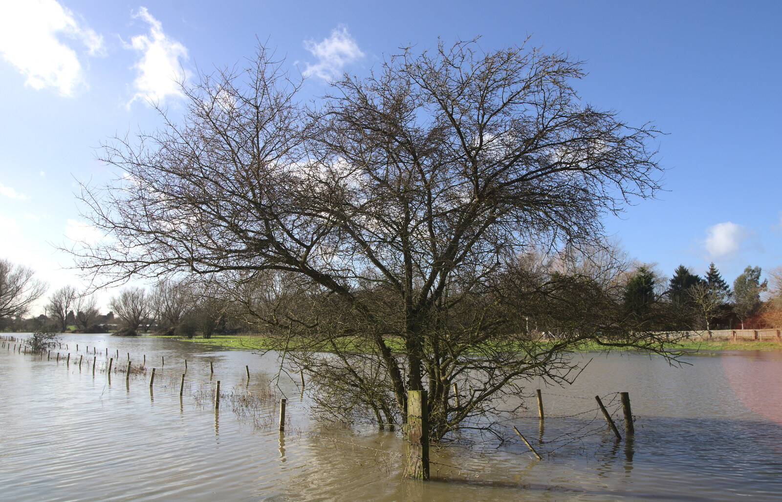 A flooded fence from Flooding at the King's Bridge, and Lunch at the Beaky, Eye and Occold, Suffolk - 27th January 2013