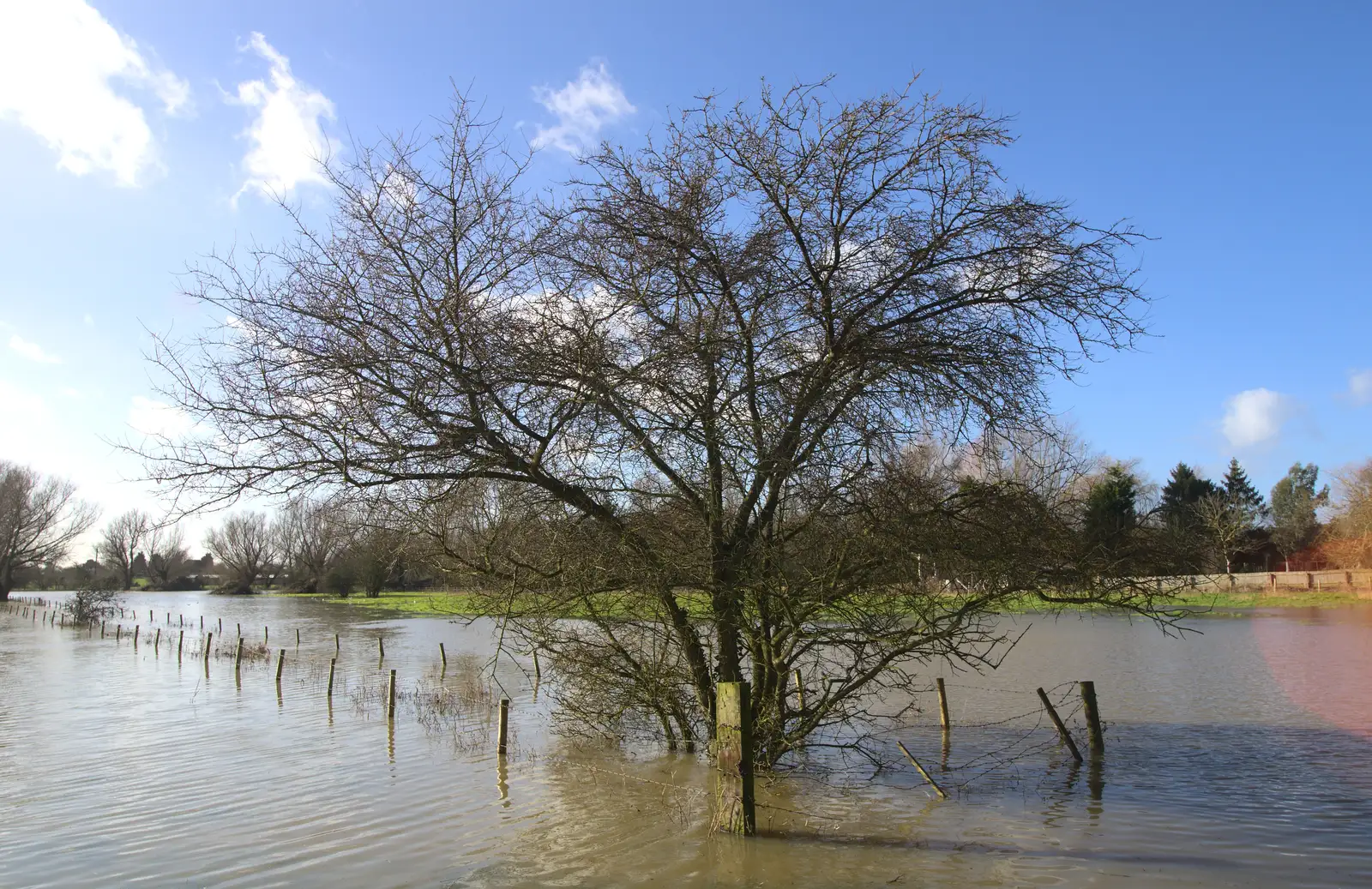 A flooded fence, from Flooding at the King's Bridge, and Lunch at the Beaconsfield Arms, Suffolk - 27th January 2013