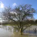 A flooded fence, Flooding at the King's Bridge, and Lunch at the Beaconsfield Arms, Suffolk - 27th January 2013