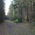 Isobel in a big forest, Music at Amandines and a High Lodge Bike Ride, Diss and Brandon - 17th February 2013