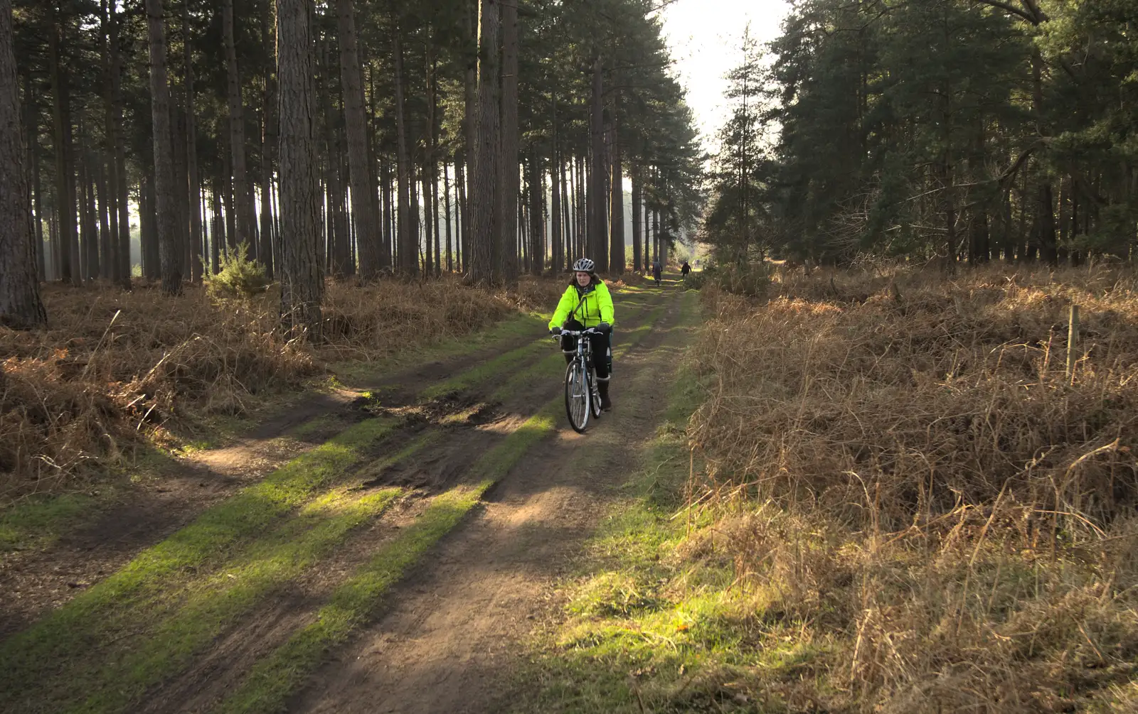 Isobel on a path, from Music at Amandines and a High Lodge Bike Ride, Diss and Brandon - 17th February 2013