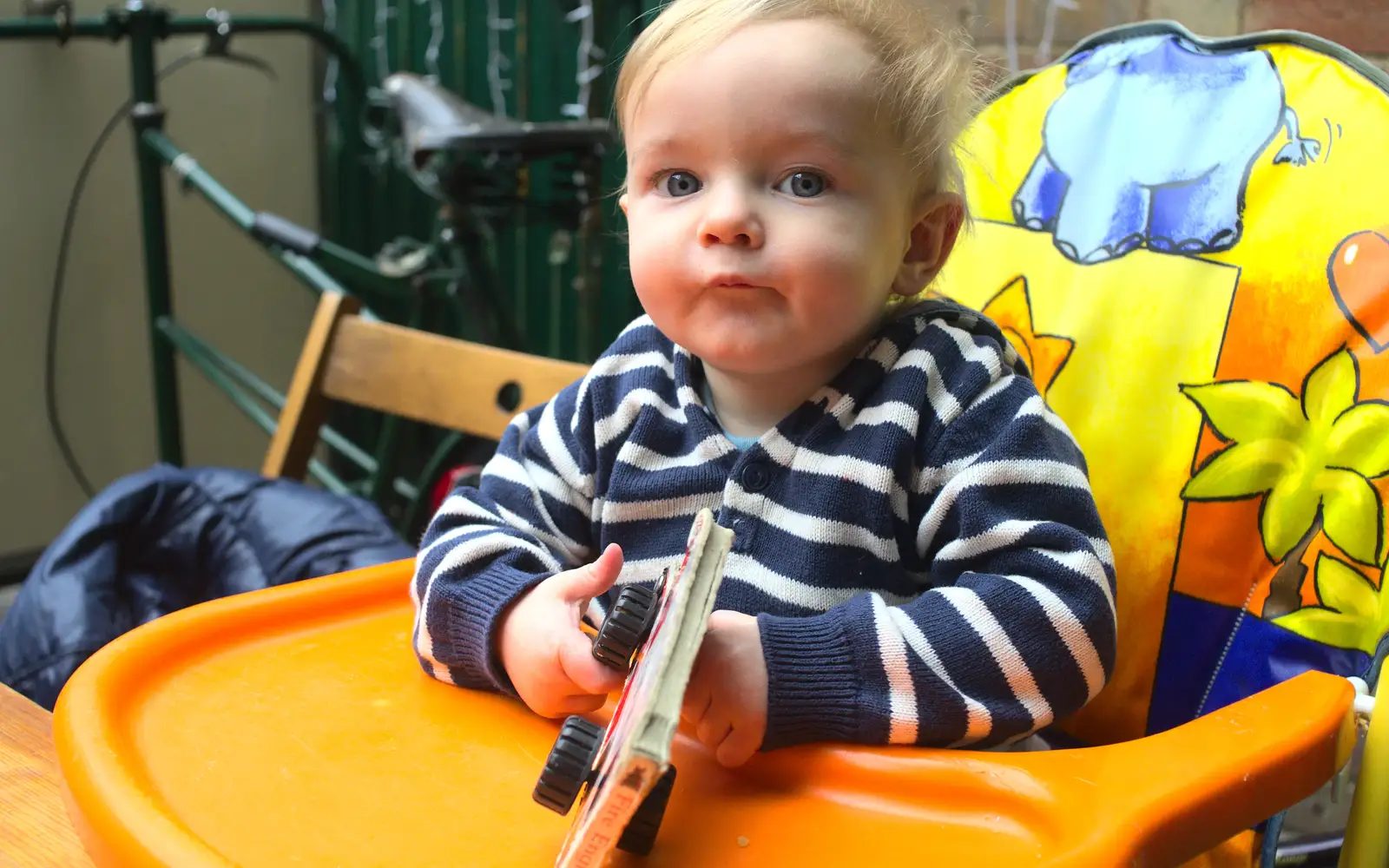 Harry plays with a board book in Amandines, from A Walk around Bressingham Winter Garden, Bressingham, Norfolk - 3rd March 2013