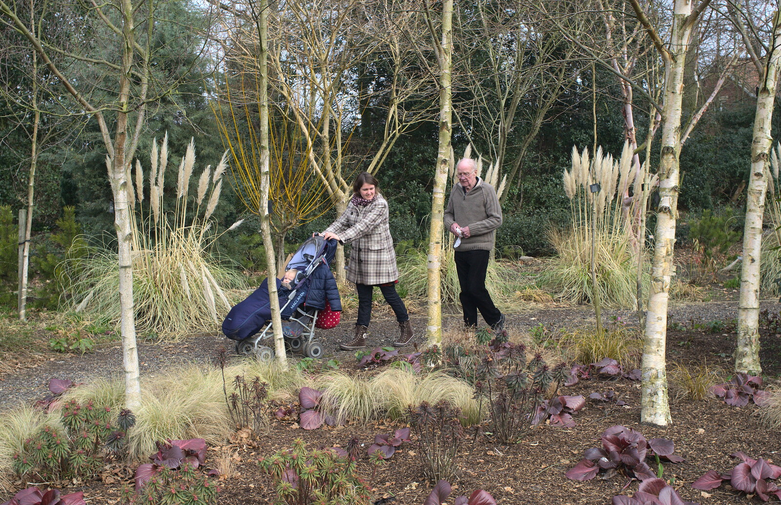 Isobel, Harry and Grandad trundle around from A Walk around Bressingham Winter Garden, Bressingham, Norfolk - 3rd March 2013