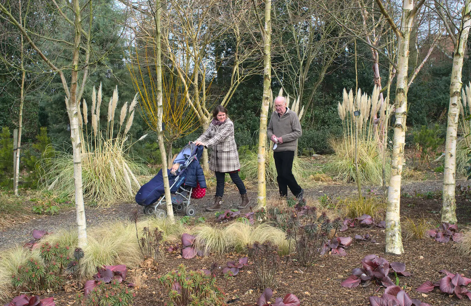 Isobel, Harry and Grandad trundle around, from A Walk around Bressingham Winter Garden, Bressingham, Norfolk - 3rd March 2013