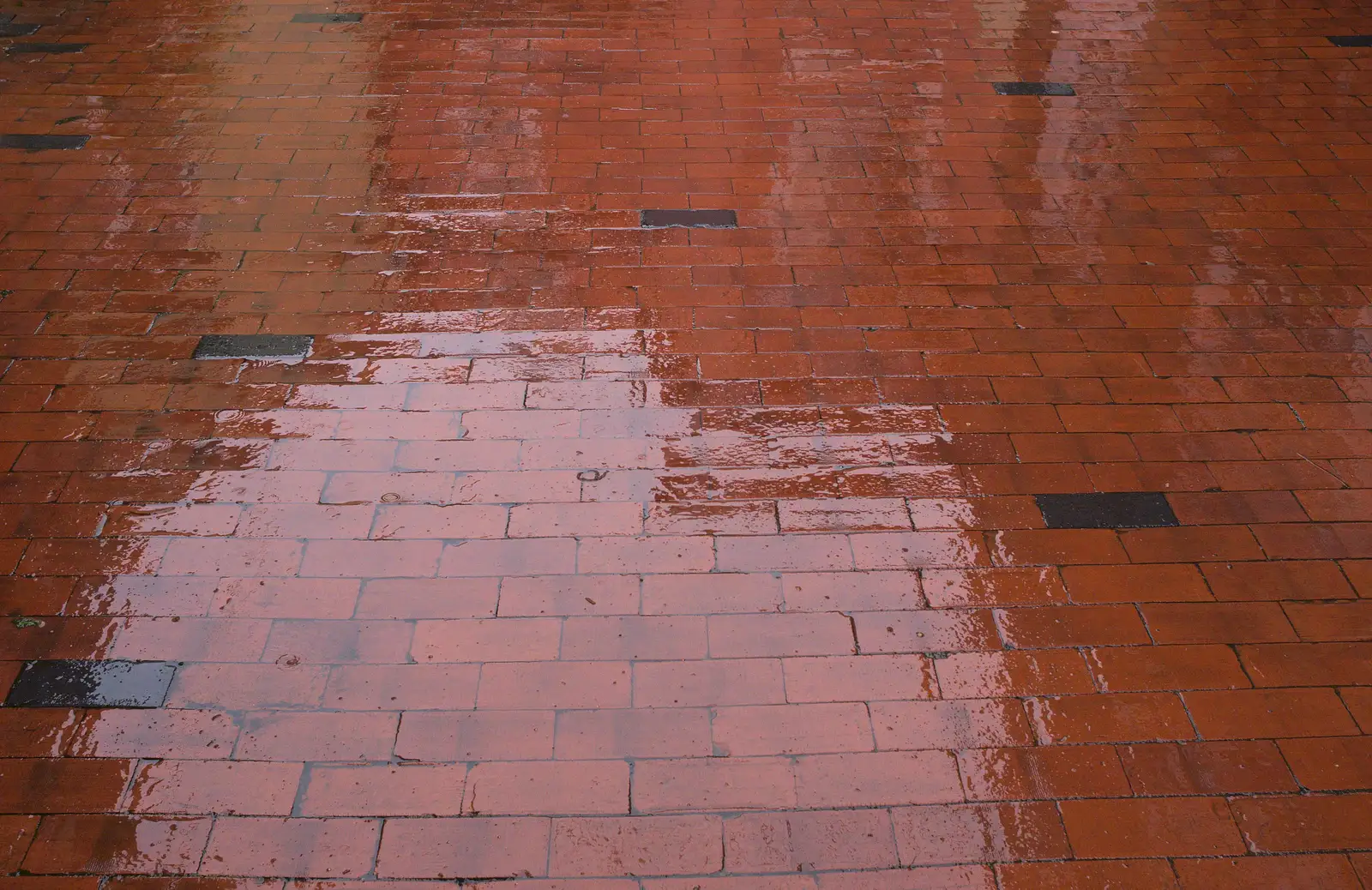 Wet shiny bricks, from Bramford Dereliction and Marconi Demolition, Chelmsford - 12th March 2013