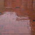 Wet shiny bricks, Bramford Dereliction and Marconi Demolition, Chelmsford - 12th March 2013