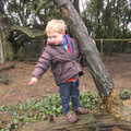 Fred on a tree stump, A Trip to Highcliffe Castle, Highcliffe, Dorset - 18th March 2013