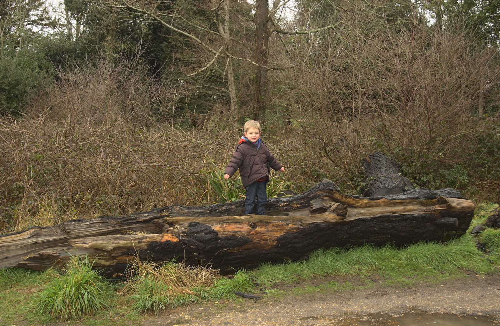 Fred on a big log from A Trip to Highcliffe Castle, Highcliffe, Dorset - 18th March 2013