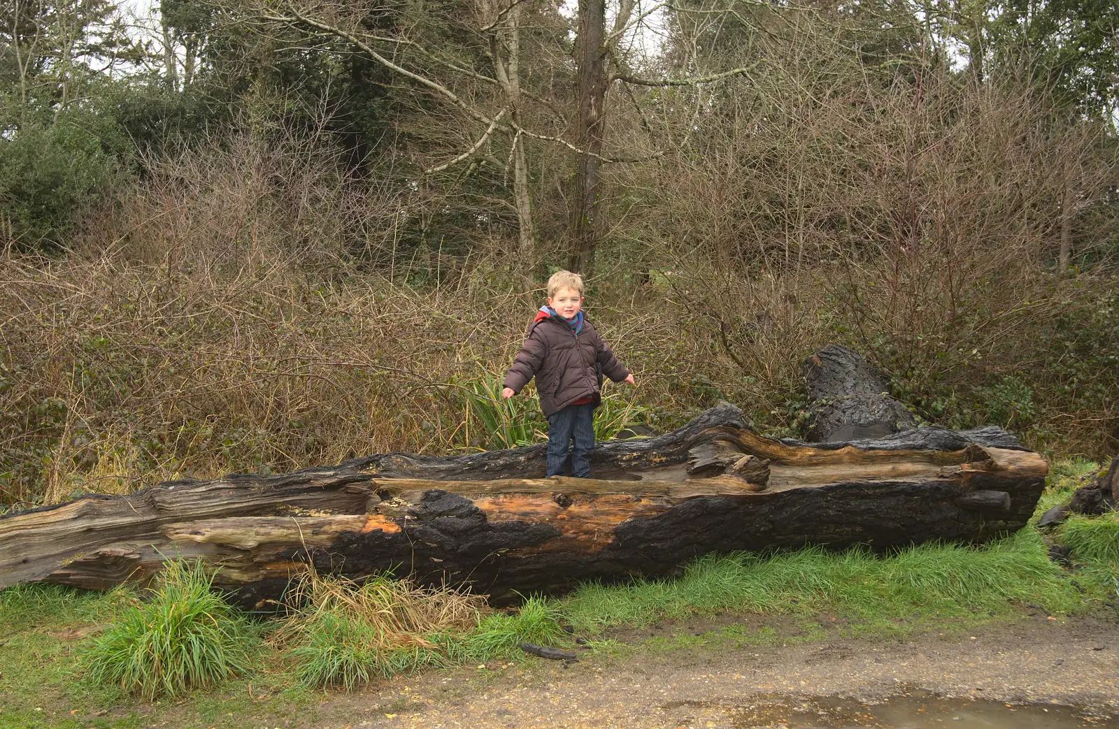 Fred on a big log, from A Trip to Highcliffe Castle, Highcliffe, Dorset - 18th March 2013