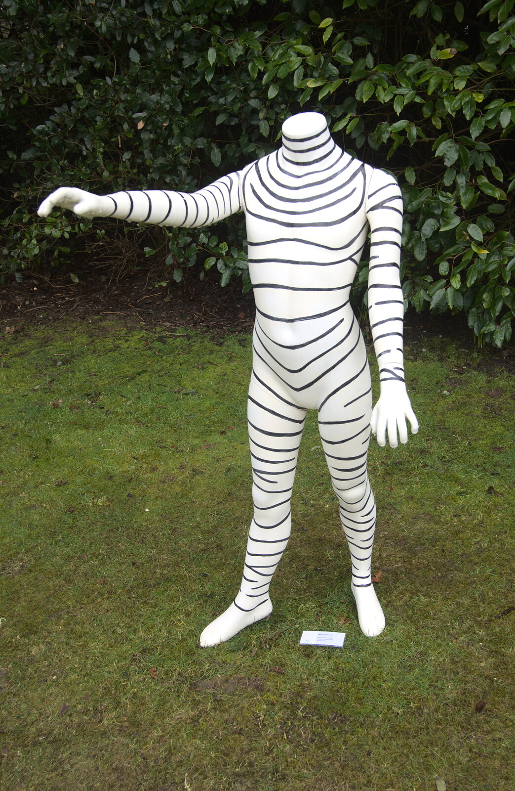 A zebra mannequin from A Trip to Highcliffe Castle, Highcliffe, Dorset - 18th March 2013