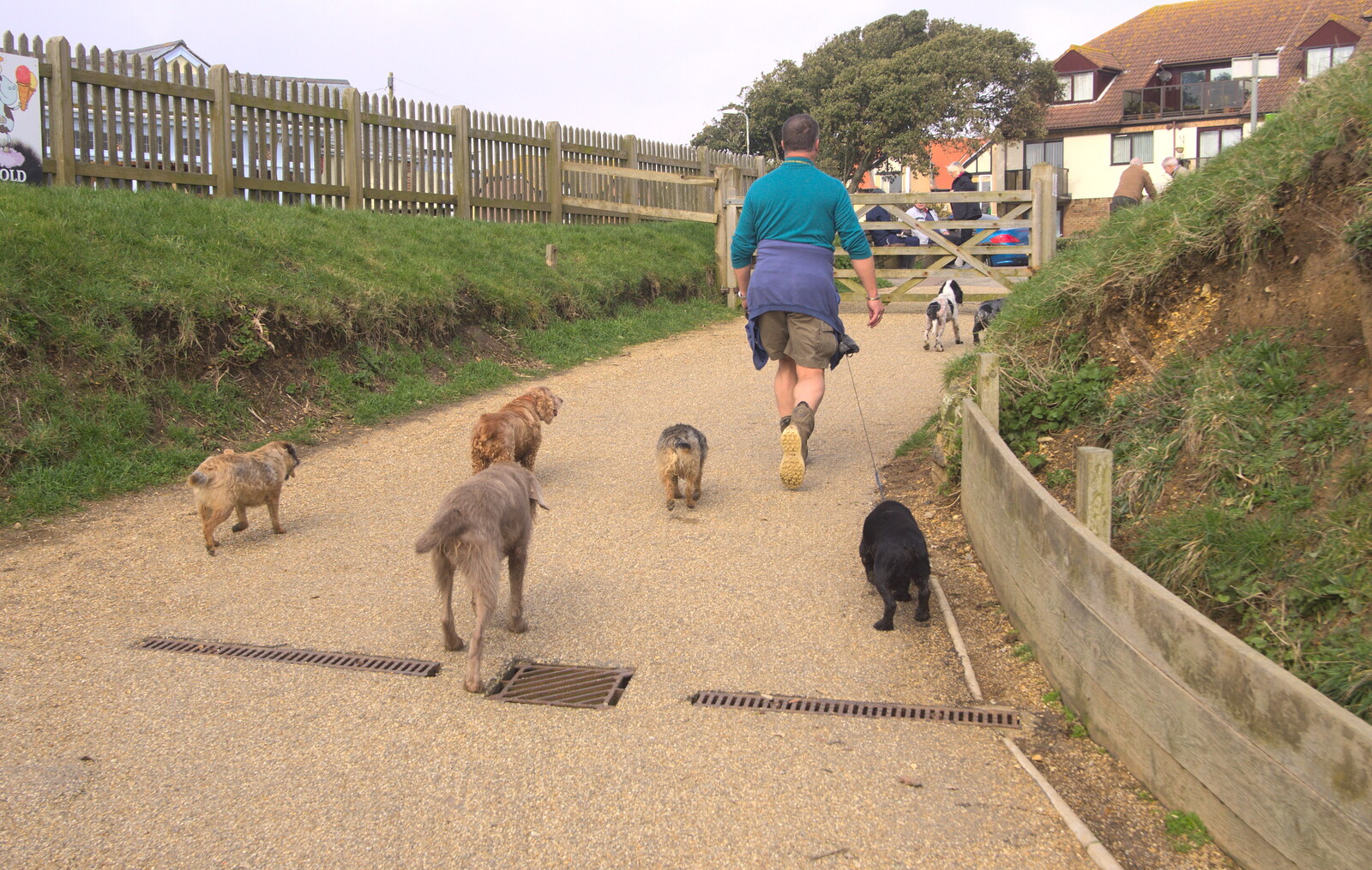 A dog walkers with a string of hounds in tow from Barton on Sea Beach, and a Trip to Christchurch, Hampshire and Dorset - 19th March 2013