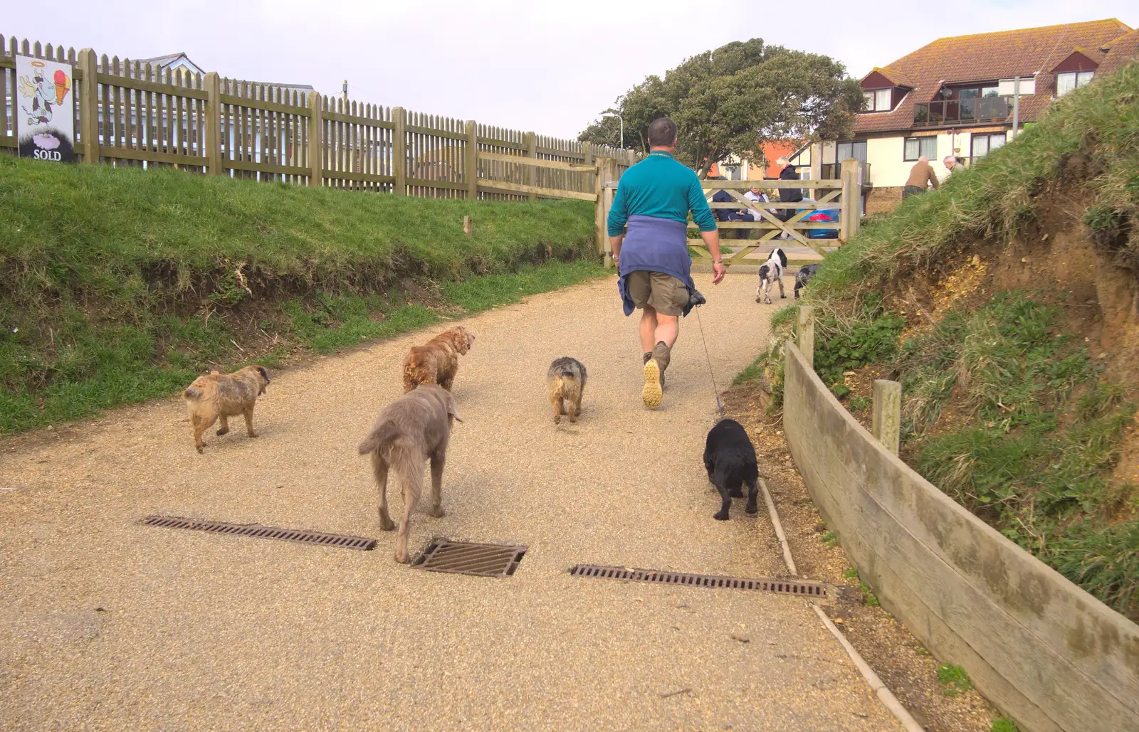 A dog walker with a string of hounds in tow, from Barton on Sea Beach, and a Trip to Christchurch, Hampshire and Dorset - 19th March 2013