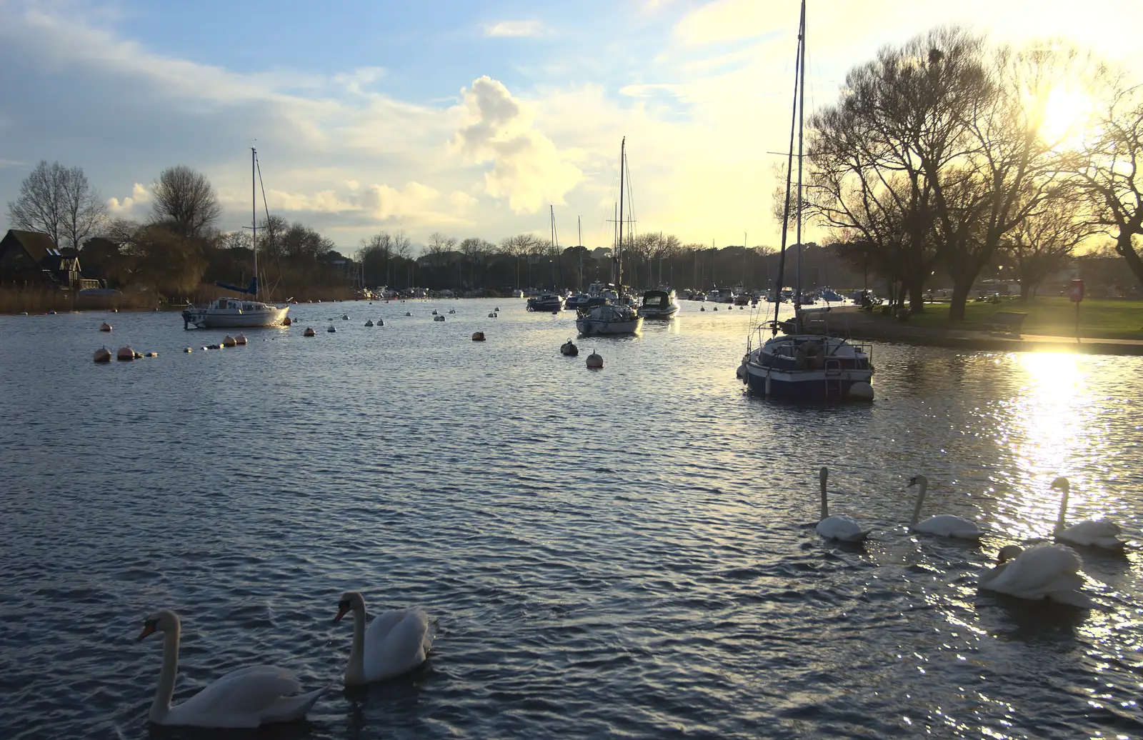 Swans on the River Avon at Christchurch, from Barton on Sea Beach, and a Trip to Christchurch, Hampshire and Dorset - 19th March 2013