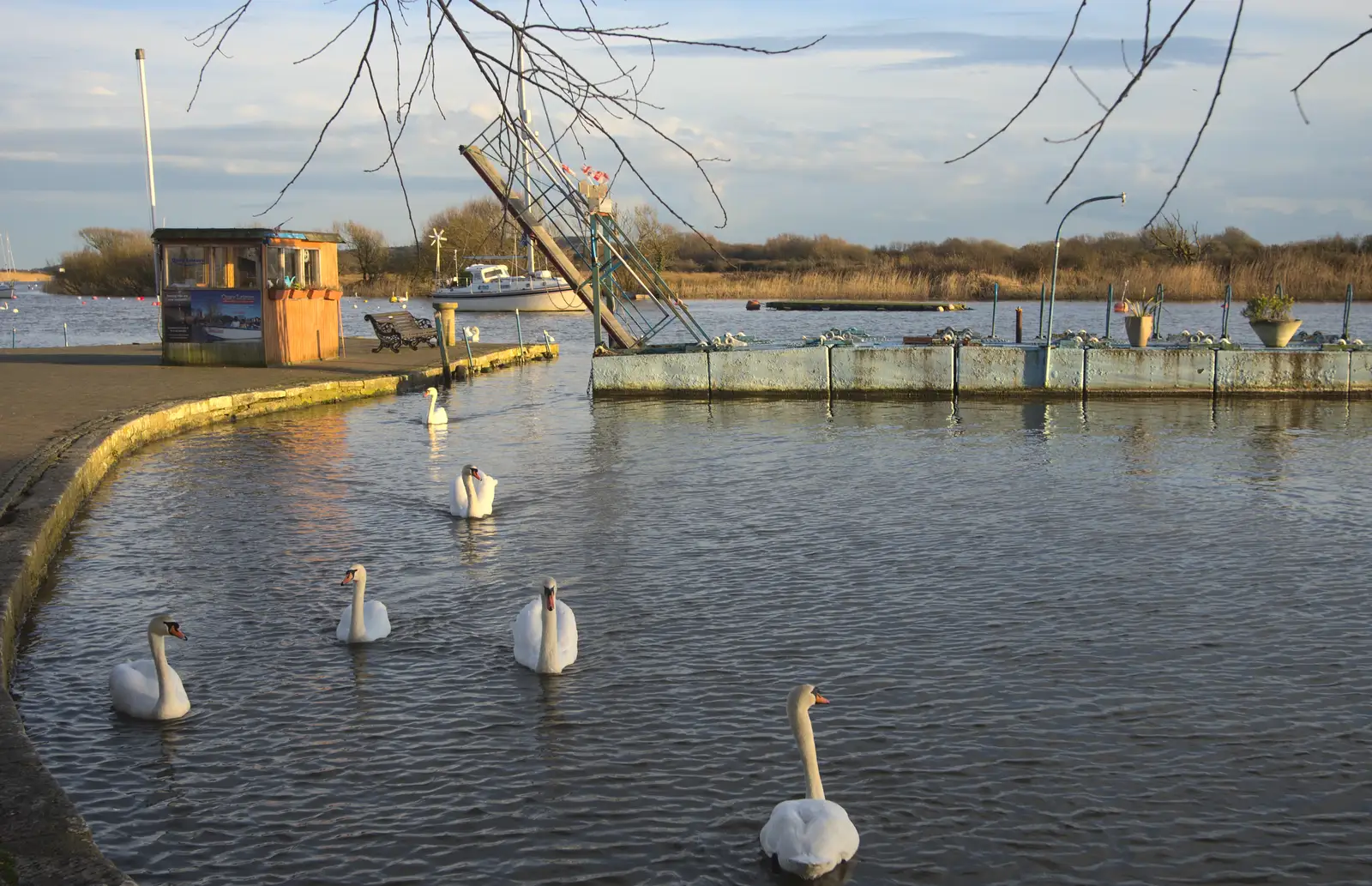 More swans pootle about, from Barton on Sea Beach, and a Trip to Christchurch, Hampshire and Dorset - 19th March 2013