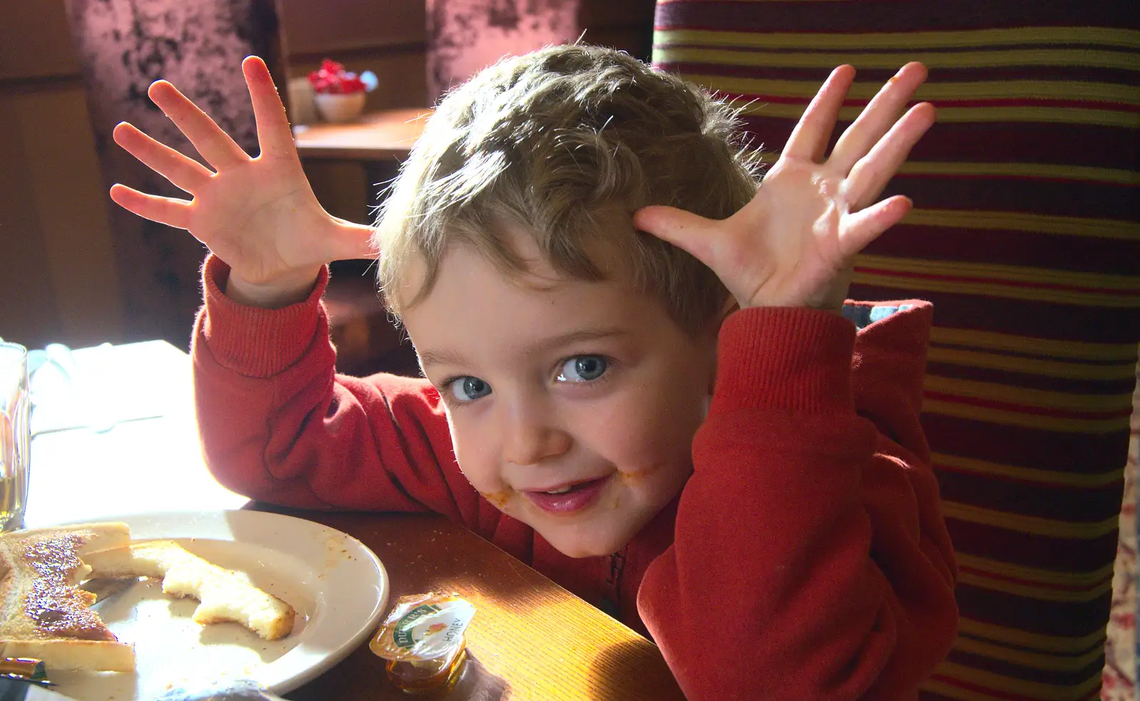 Reindeer face, probably, from The Ornamental Drive, Rhinefield, New Forest - 20th March 2013