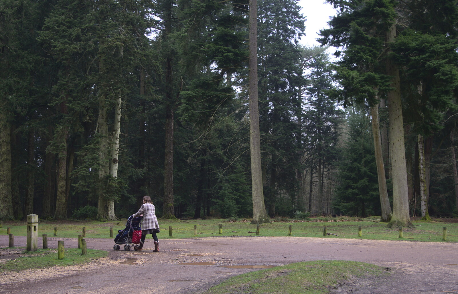 Isobel and Harry wander off at Rhinefield from The Ornamental Drive, Rhinefield, New Forest - 20th March 2013